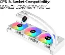 B41TS23103108QLXC7D.webp